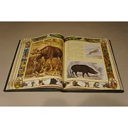 Настольная книга охотника — книга для мужчины — красивый подарок — фотография 4