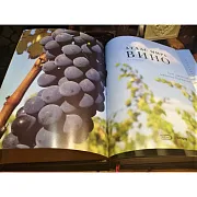 Атлас мира вино в футляре — книга для мужчины в подарок — фотография 6